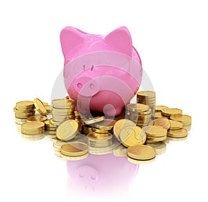Pig piggy bank on gold coins with reflection