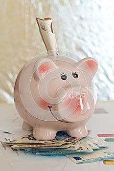 Pig piggy bank with money, euro banknote photo