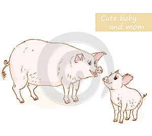 Pig and piglet