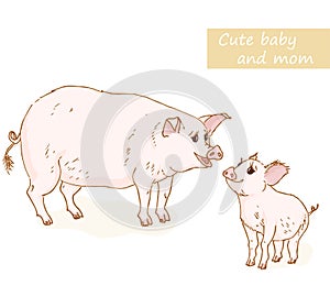 Pig and piglet photo