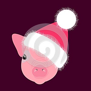 Pig, piglet. Head in the New Years hat. Face. Vector illustration. Nice style. Chinese New Year. Symbol of 2019.