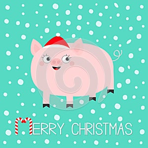 Pig piglet. Hog swine sow animal. Cute cartoon funny baby character. Merry Christmas. Santa hat. Chinise symbol of 2019 new year.