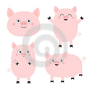 Pig piglet set. Cute cartoon funny baby character. Hog swine sow animal. Chinise symbol of 2019 new year. Zodiac sign. Flat design