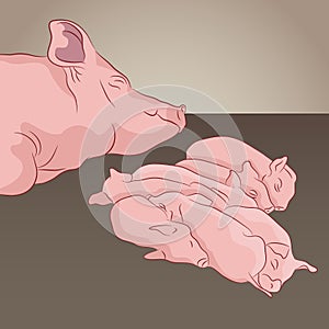 Pig And Piglets