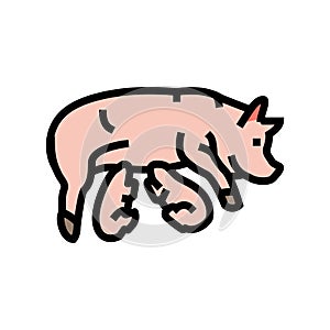 pig piglets farm color icon vector illustration