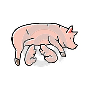 pig piglets farm color icon vector illustration