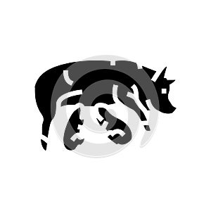 pig piglets farm glyph icon vector illustration