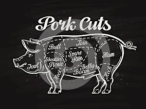 Pig, pork cuts. template menu design for restaurant, cafe