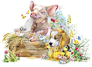 Pig. puppy dog. fox. ducklings. chick. watercolor cute farms animal collection