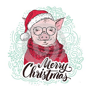 Pig in a red cardigan, in a Santa`s red cap . Marry Christmas - lettering quote. Christmas card, poster, t-shirt