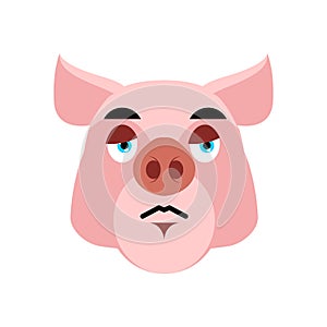 Pig sad Emoji. piggy sorrowful emotion on white background. Farm