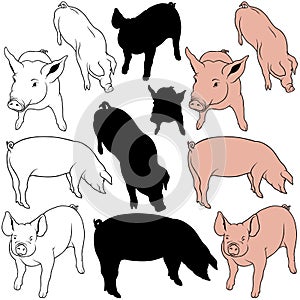 Pig Set