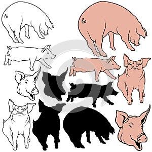 Pig Set