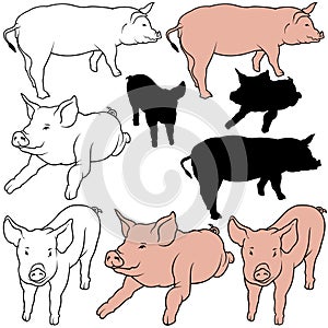 Pig Set