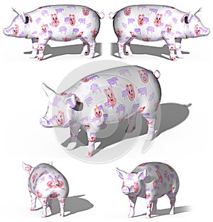 3d rendering Illustration emoticon pig set cartoon isolated photo