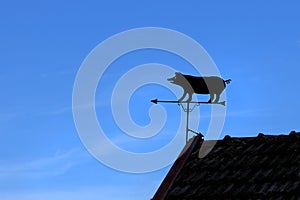 Pig Shaped Wind Vane Against Blue Sky