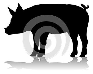 Pig Silhouette Farm Animal