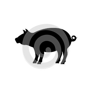 Pig silhouette icon design template vector isolated