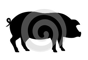 Pig silhouette vector icon