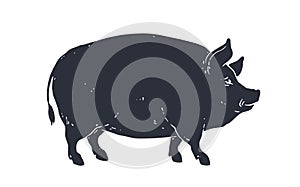 Pig, silhouette. Vintage logo, retro print, poster photo