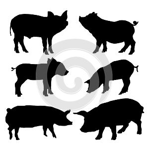 Pig silhouettes set. Vector illustration