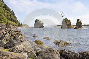 Pig and Sow Inlet in Garibaldi Oregon