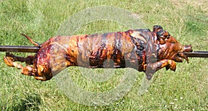 Pig on a spit