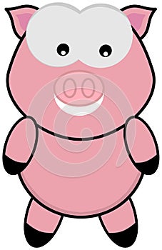 A pig standing and face
