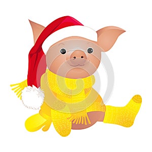 Pig in sweater. 2019 Chinese New Year of the Pig. Christmas greeting card. Isolated on a white background.