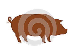 Pig swine silhouette icon