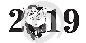 pig symbol of year 2019