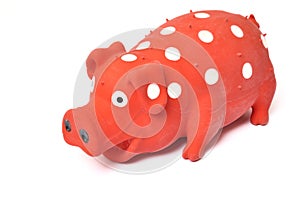 Pig toy