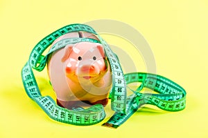 Pig trap. Budget crisis. Planning budget. Business problem. Limited or restricted. Piggy bank and measuring tape. Budget