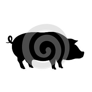 Pig vector icon