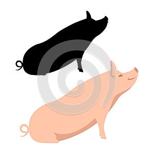 pig vector illustration style flat silhouette