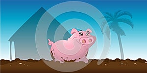 Pig wallowing mud