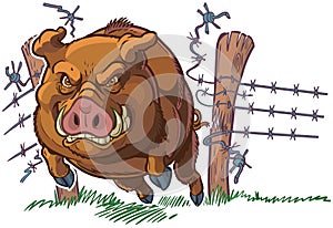 Pig or Wild Boar Crashing Through Fence Vector Cartoon