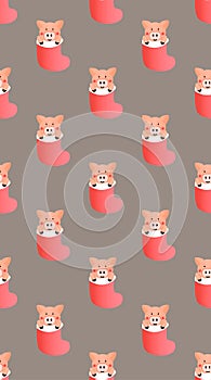 Pig in xmas socks cute cartoon illustration wallpaper