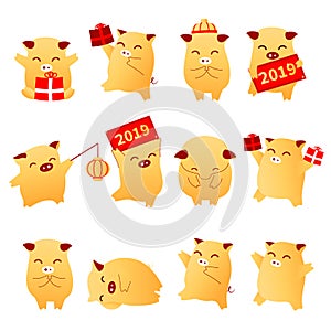 2019 Pig Year flat cartoon characters traditional oriental chinese zodiac sign pigs set.Chinese lanterns,Funny asian mascot charac