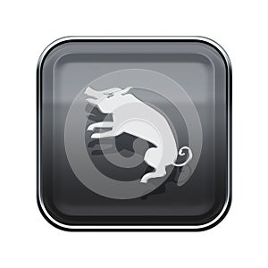 Pig Zodiac icon grey..