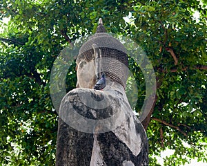 Pigeon and Ancient Buddha Statue at Wat Mahathat Temple, Ayutthaya, Thailand.