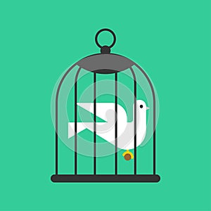 Pigeon in cage. Bird in cage. Concept of unfreedom