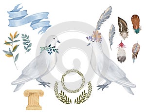 Pigeon clip art digital drawing watercolor bird fly peace dove for wedding celebration illustration similar on white