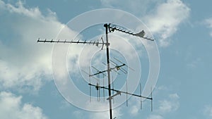 Pigeon on Digital Television Radio Antenna