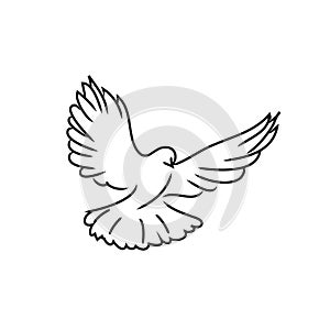 Pigeon dove black line art on white background