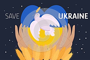 Pigeon, dove of peace with wheats, hands on Ukrainian flags background. Save Ukraine sign. No war concept