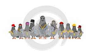 Pigeon gangster gang set. Cool City bird. SWAG gangsta. Pigeon guy rapper