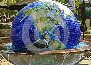 Pigeon at the Globe fountain