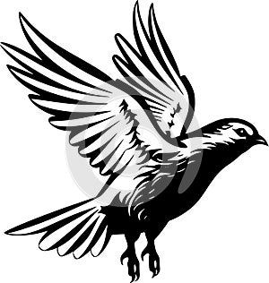 Pigeon - high quality vector logo - vector illustration ideal for t-shirt graphic