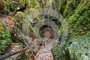 Pigeon Hole Cave. Cong, Mayo, Ireland